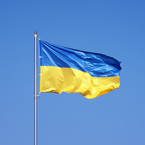 Ukraine Flag