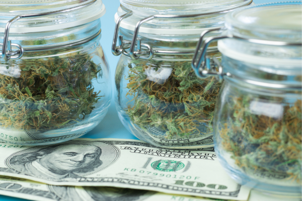 Cannabis in jars with money on table