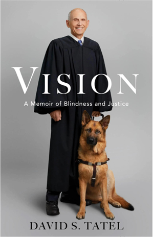 Vision - Judge David Tatel book cover