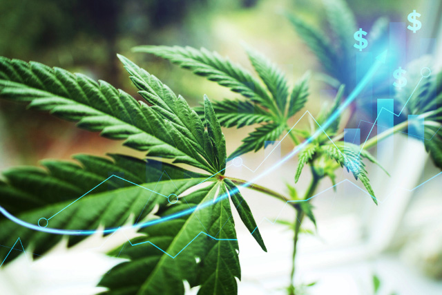 The Business of Cannabis: Financial Challenges & Opportunities 2023